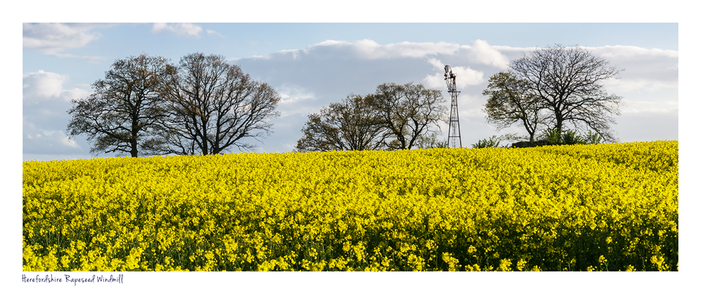 images from wales - Ian Nicholson Photography - Builth Wells